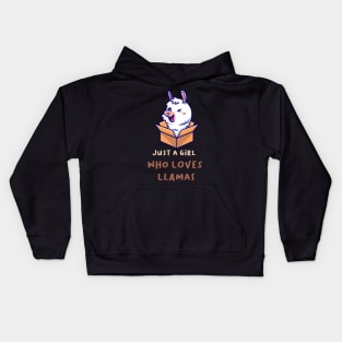 Just a girl who loves llamas Kids Hoodie